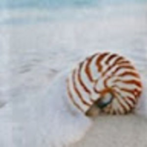 Meet your Posher, Lena